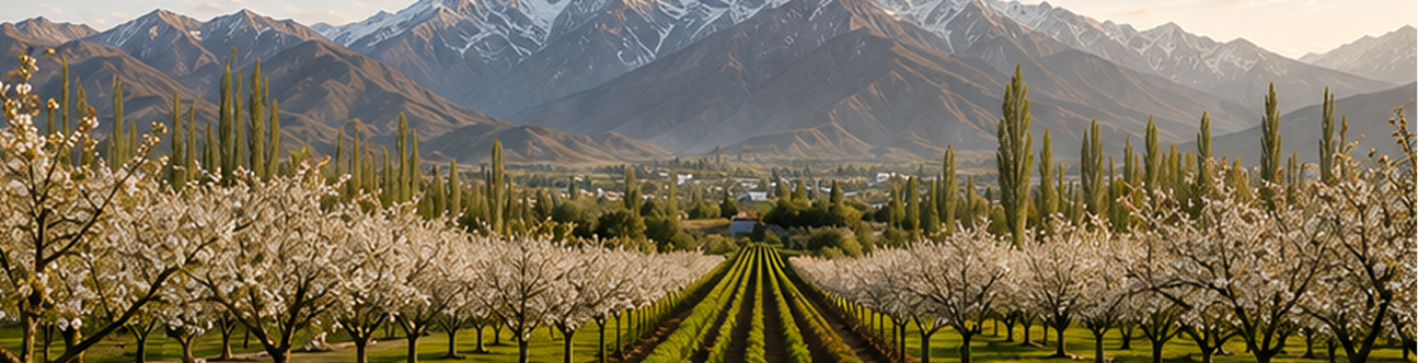 Orchard view